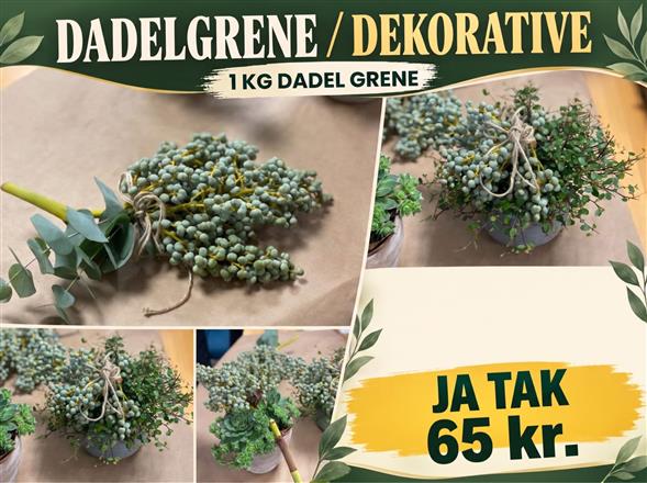 1 kg dadelgren